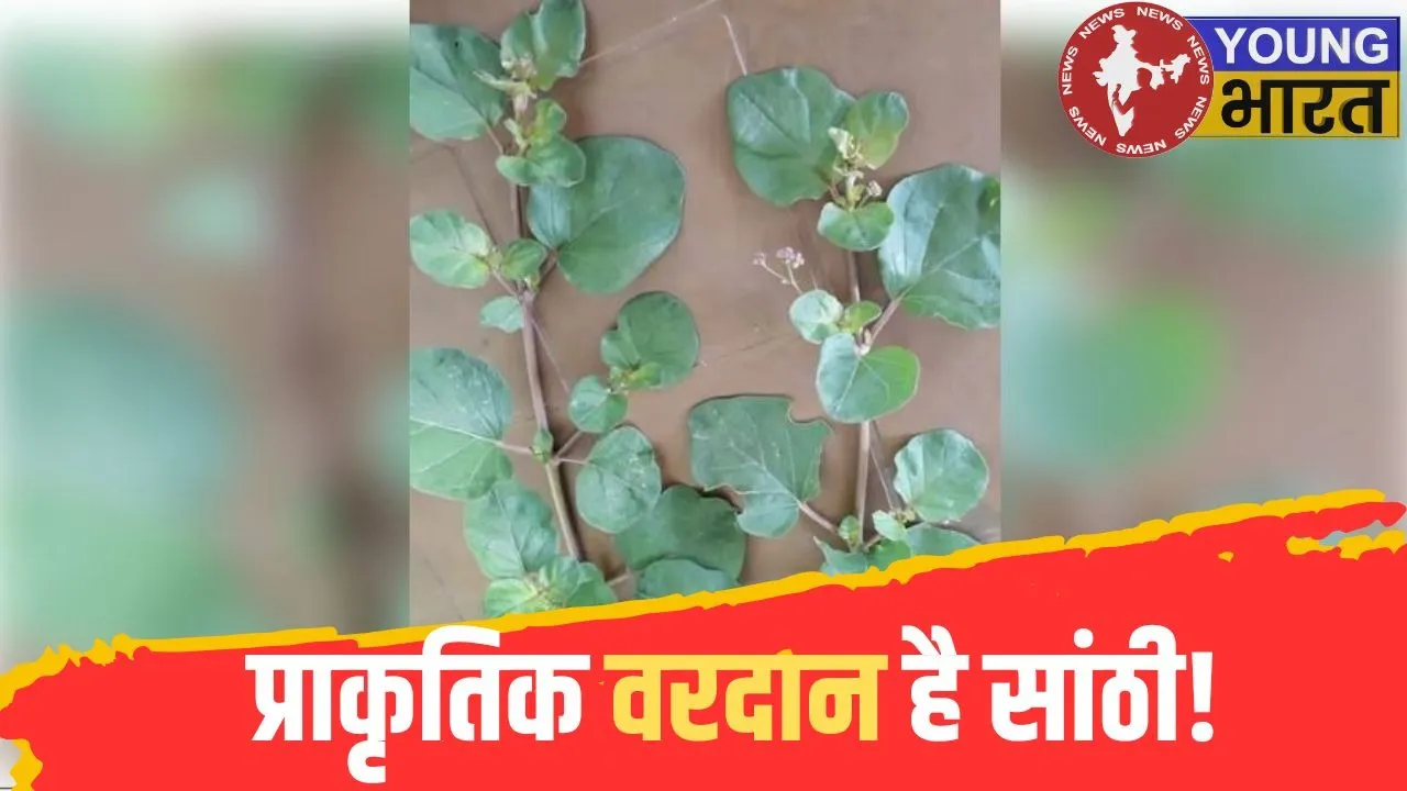 Health tips Santhi