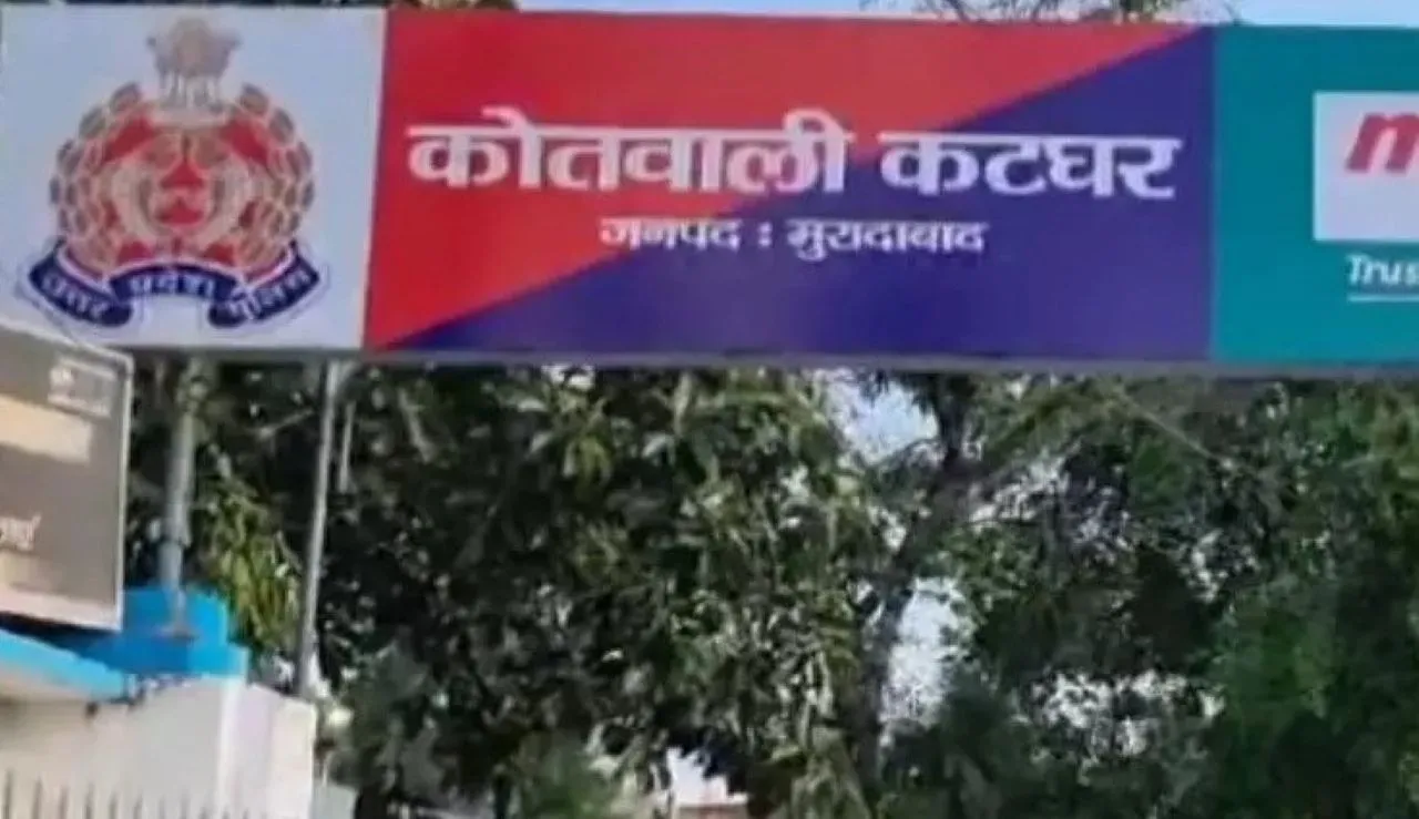 वाईवीएन