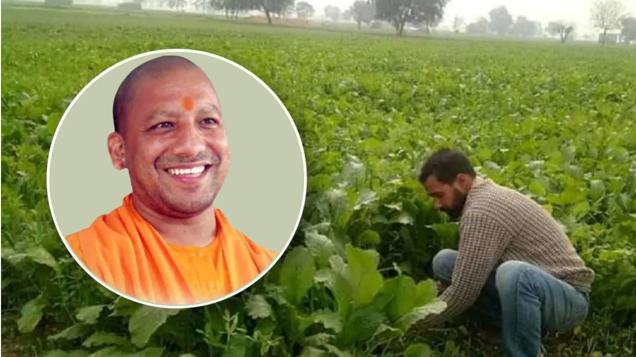 kisan