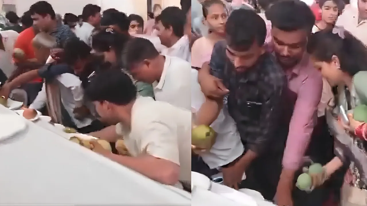आम महोत्सव में आमों की लूट
