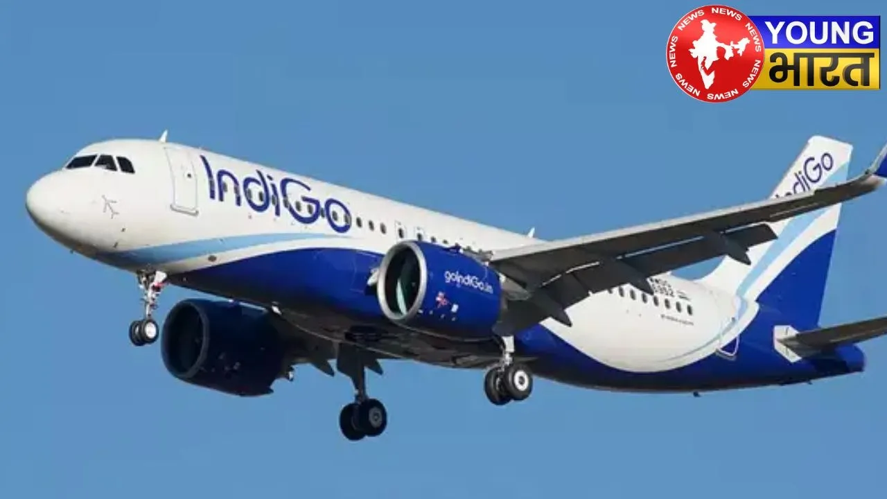 indigo flight