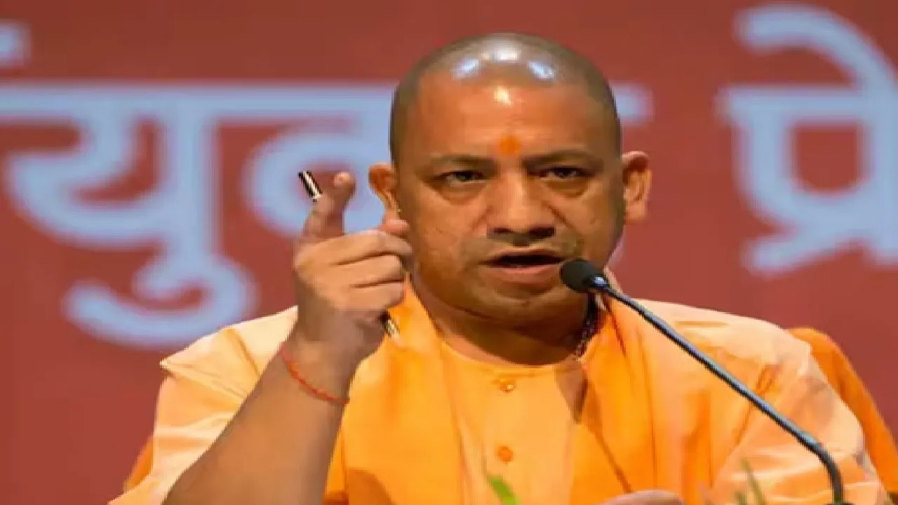 yogi cm