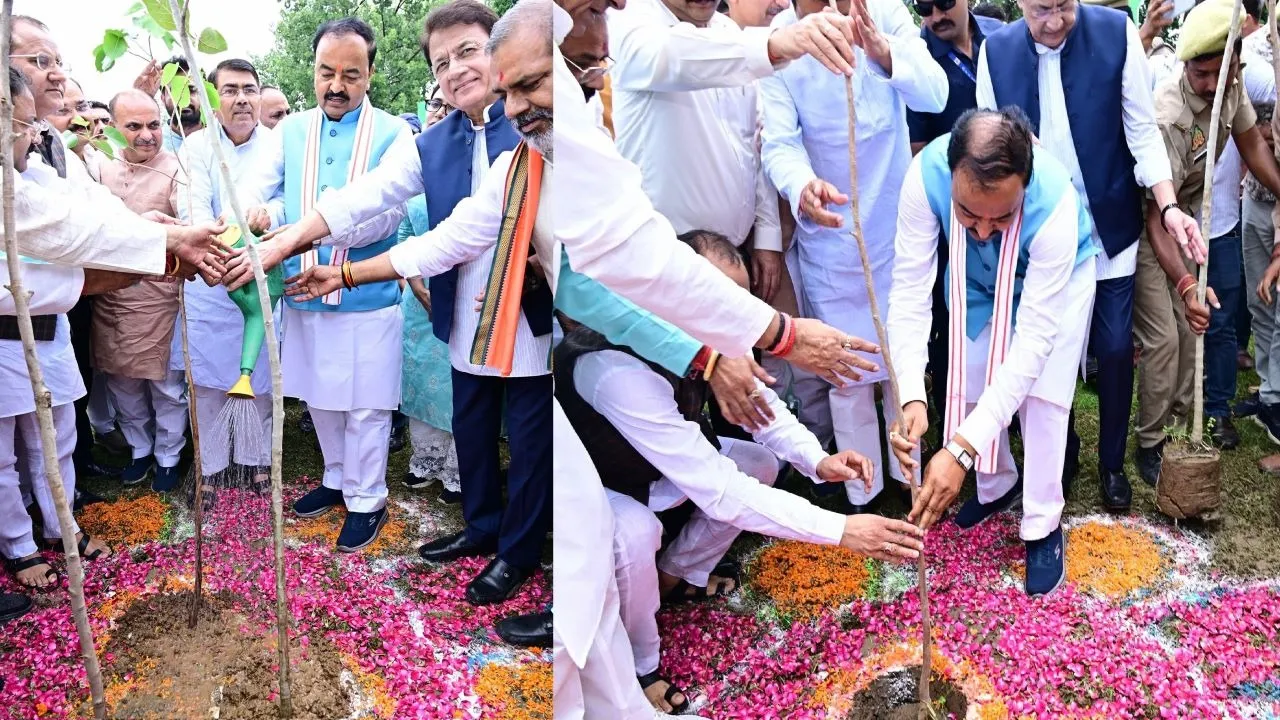Deputy CM Keshav Prasad Maurya planted a sapling