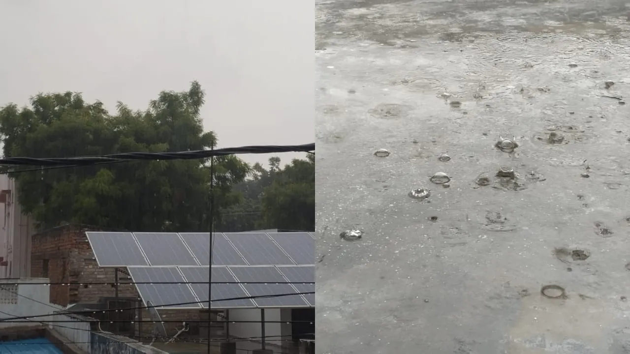 barish n