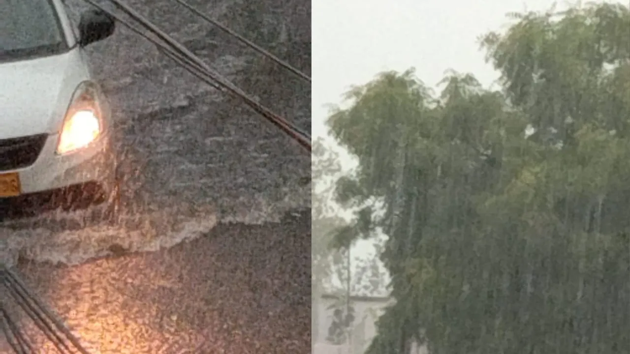 barish 12