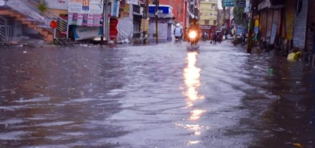 वाईवीएन