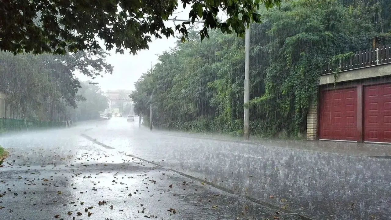 barish (2)