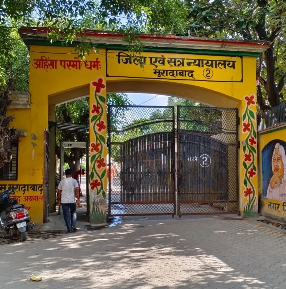 वाईवीएन