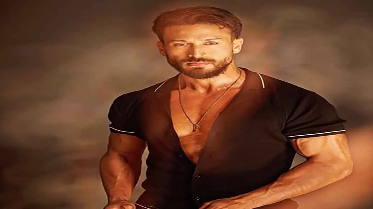 TigerShroff