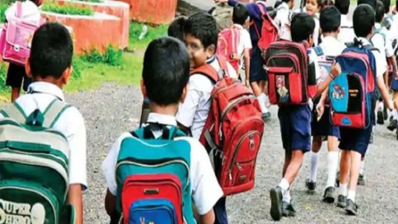basic education