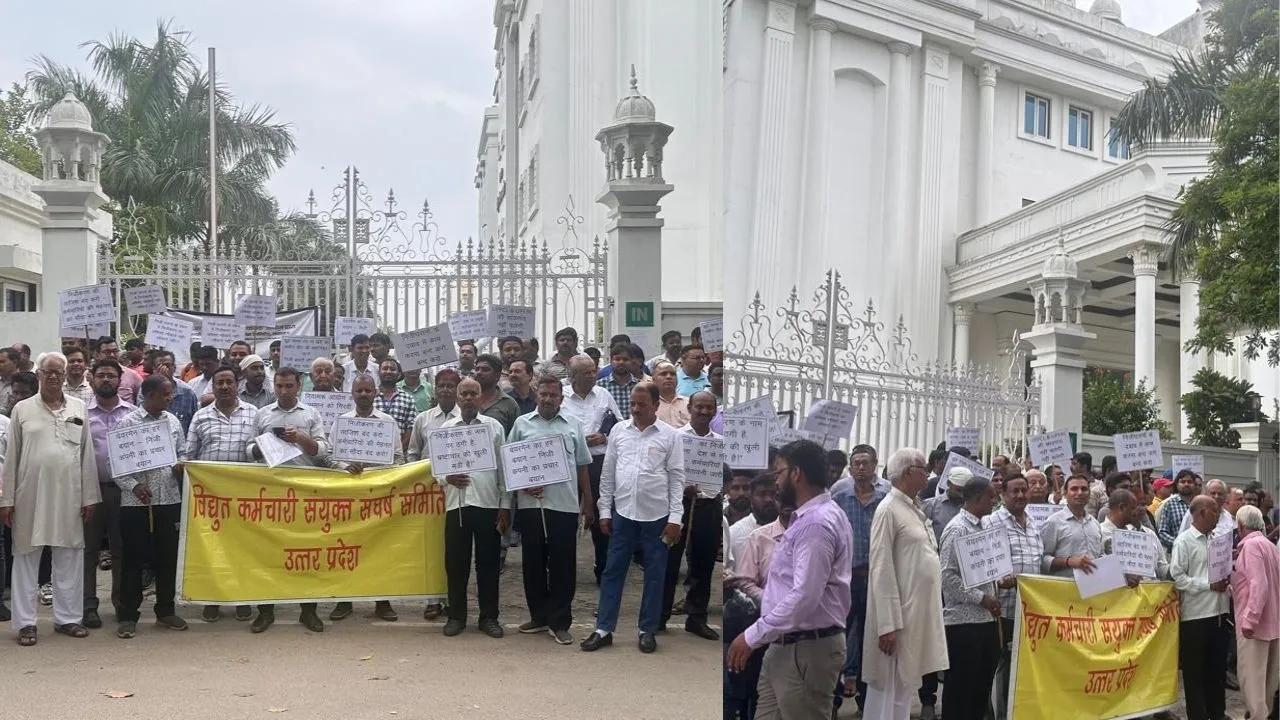 electricity privatisation protest