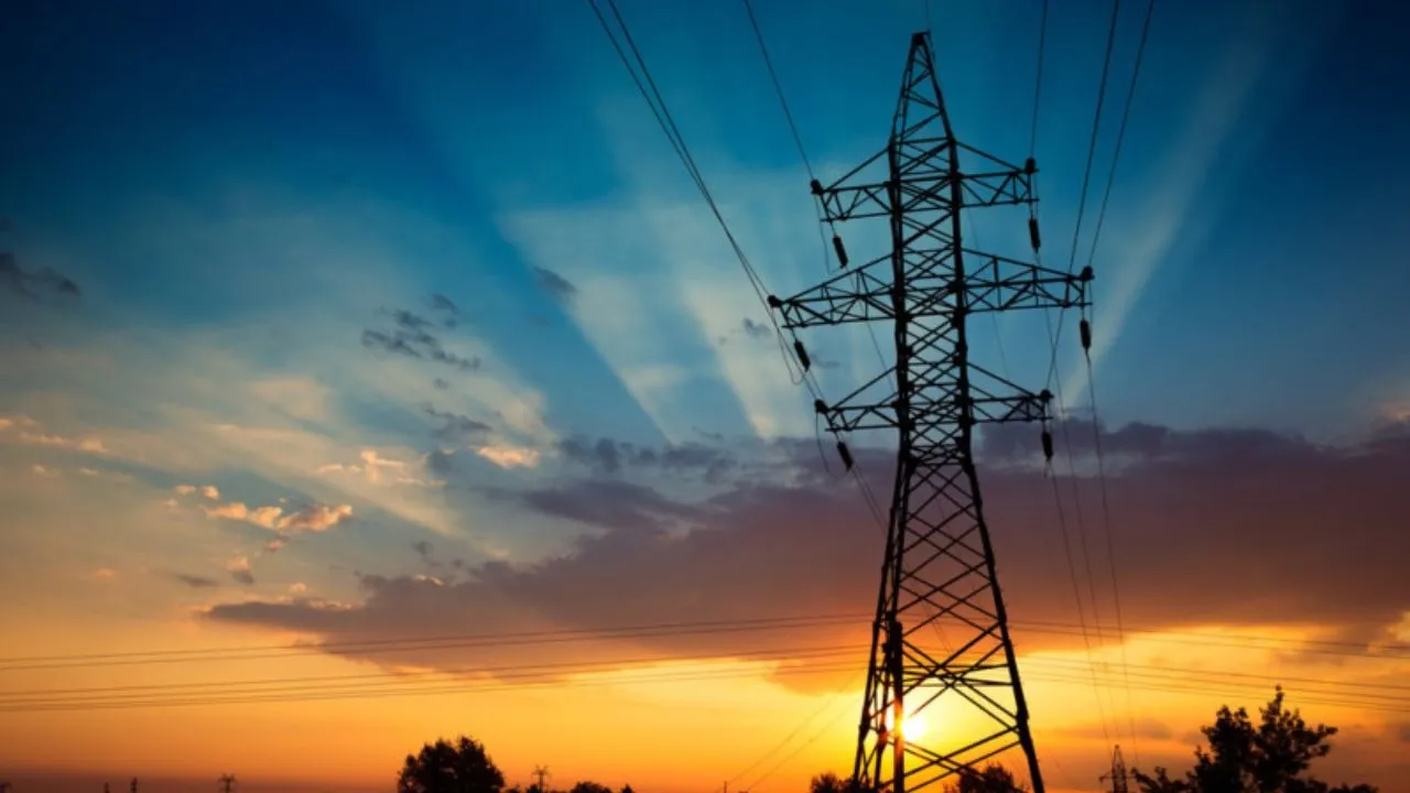 electricity privatisation