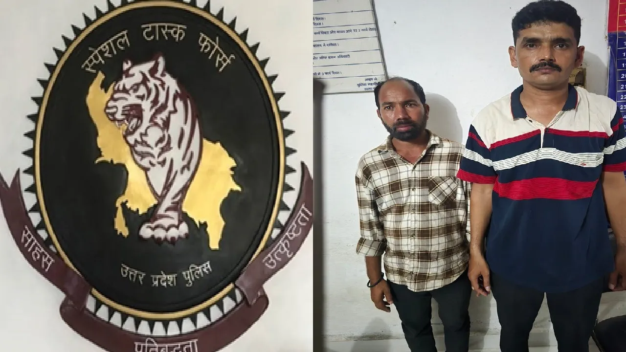 STF UP arrest