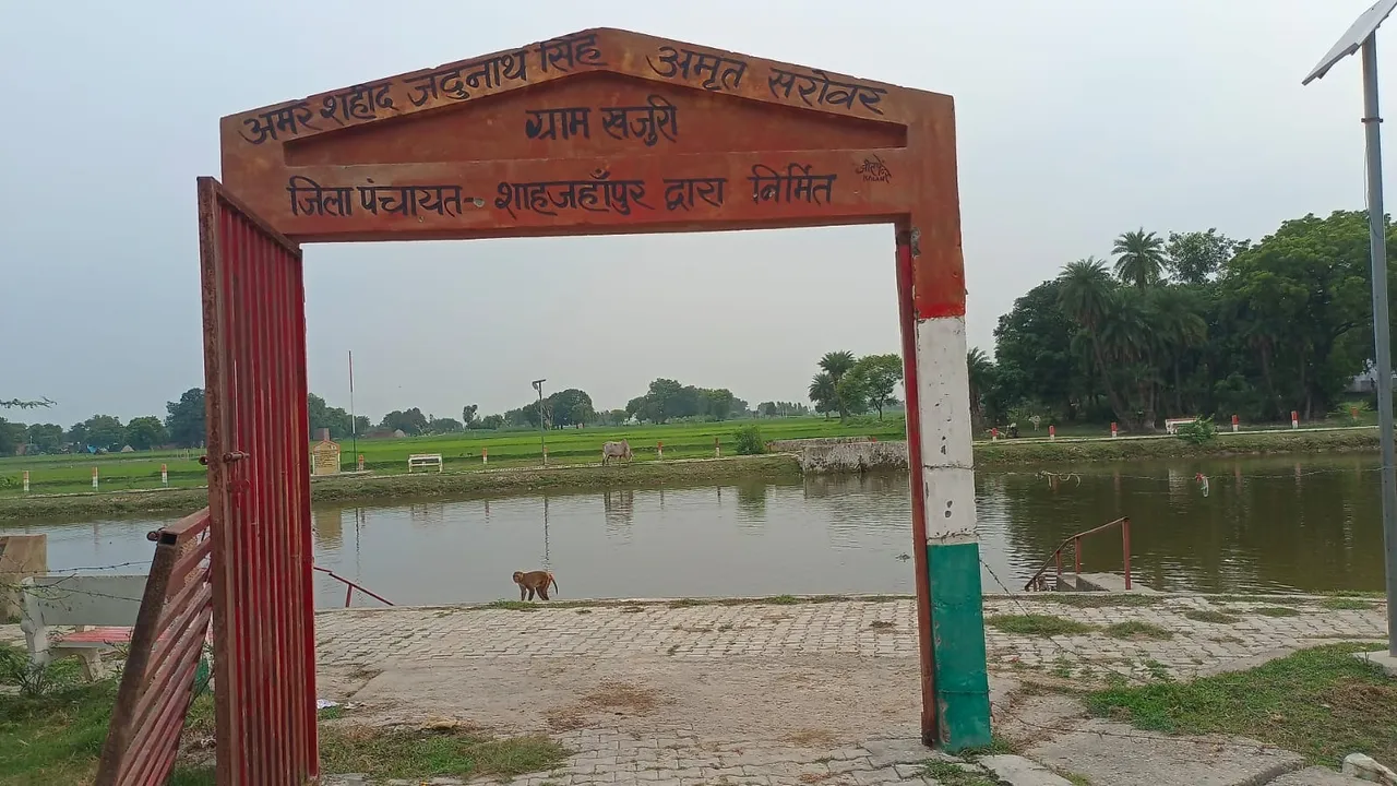 AMRT SAROVAR