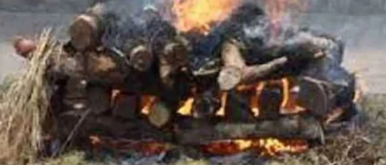 वाईवीएन