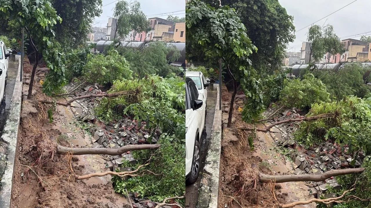 20250731_094356_0000