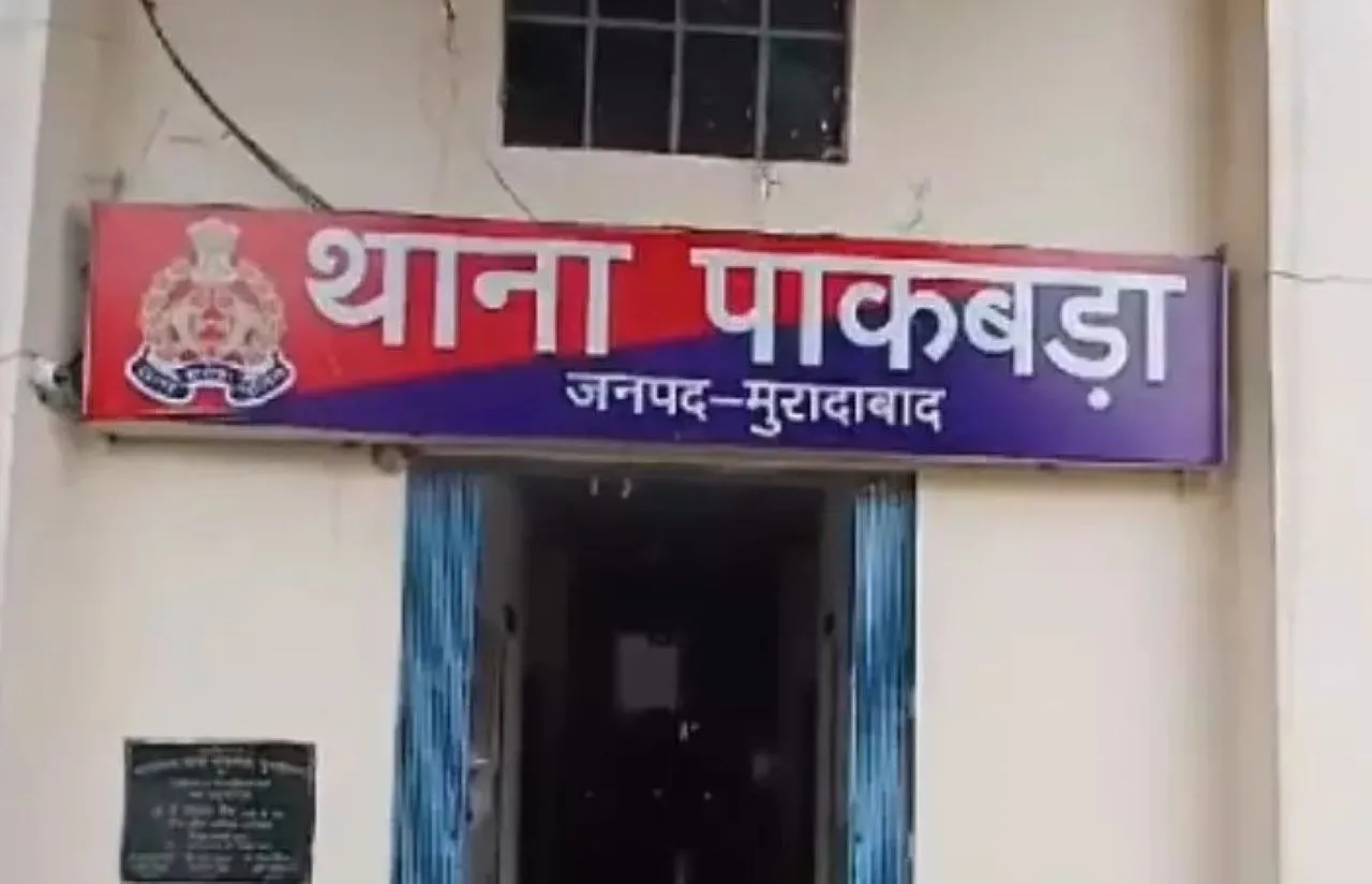 वाईवीएन