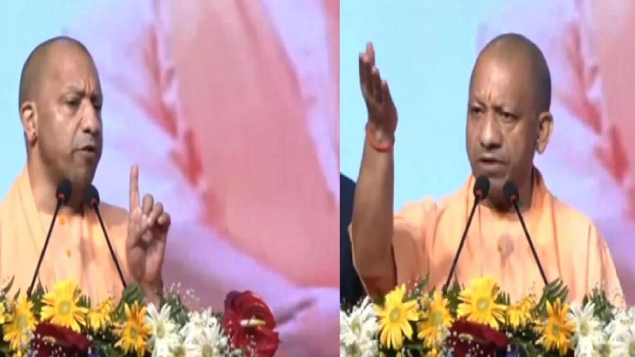 yogi cm df