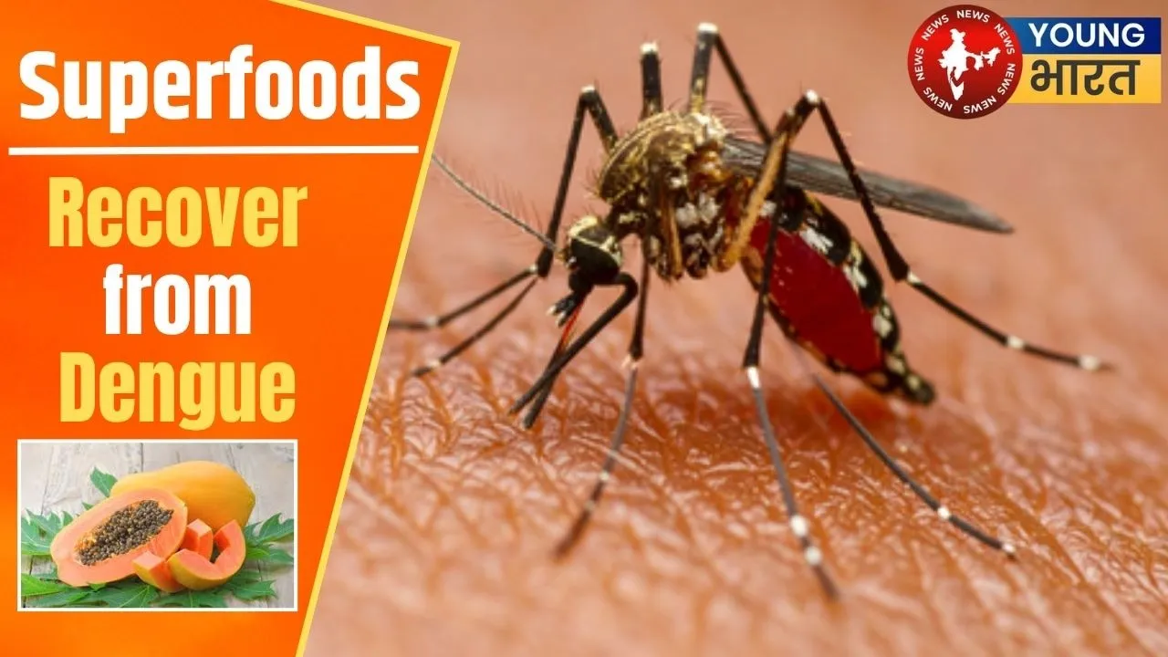 Recover from Dengue