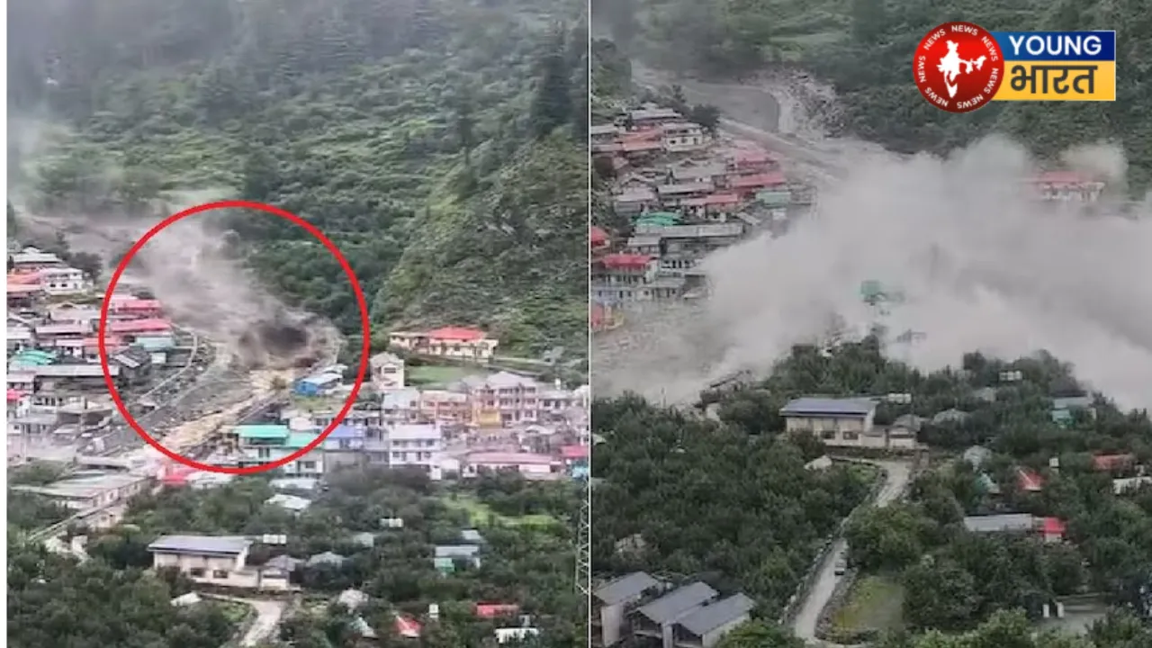 Untitled design (42)