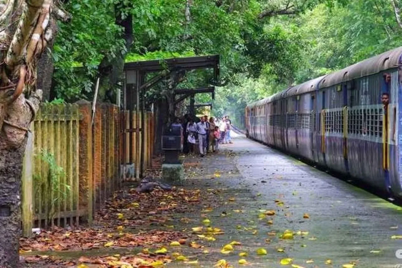 वाईवीएन