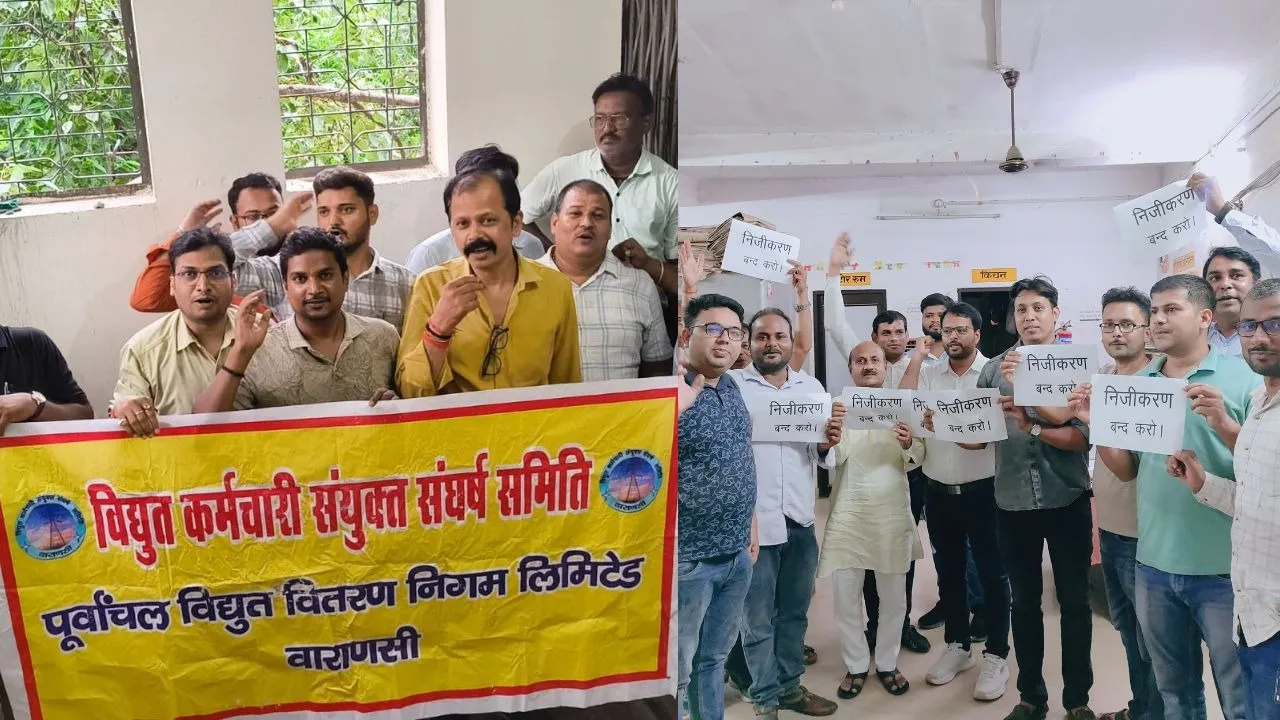 protest electricity privatisation