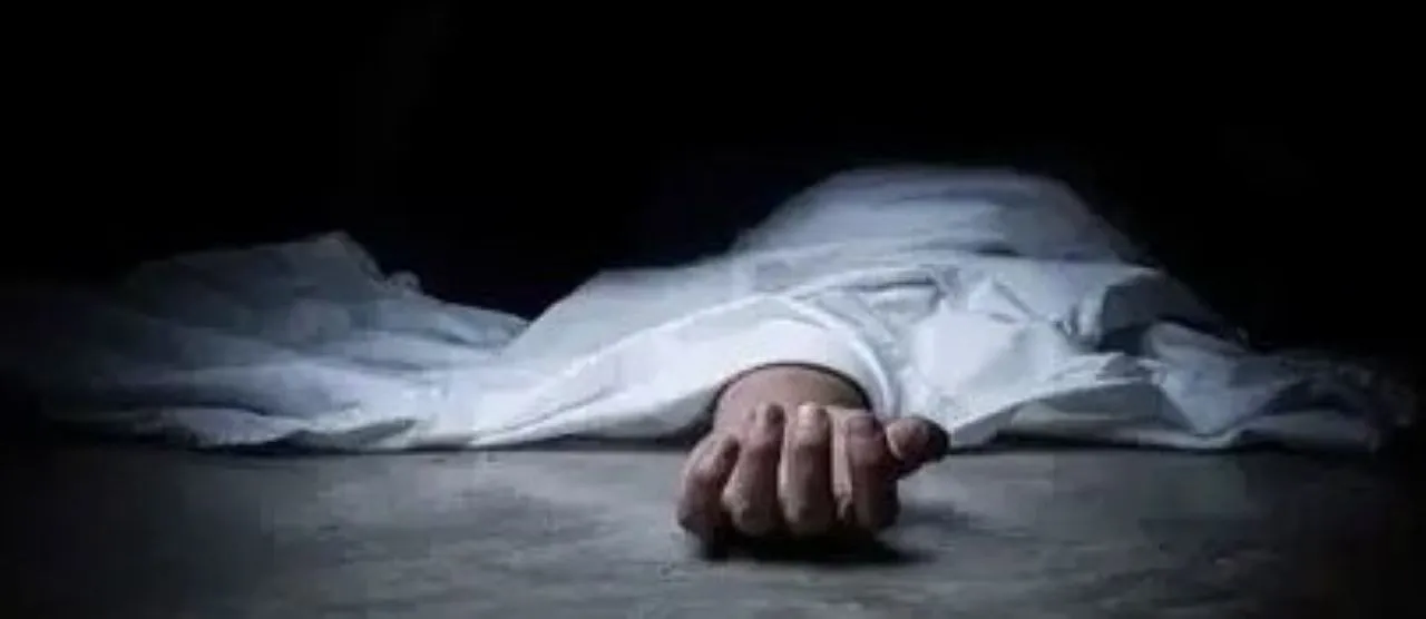 वाईवीएन