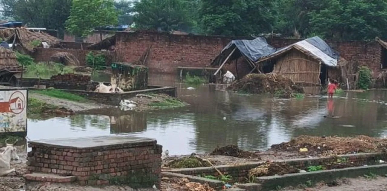 वाईवीएन