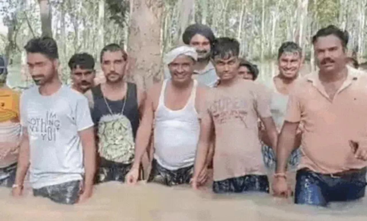 वाईवीएन