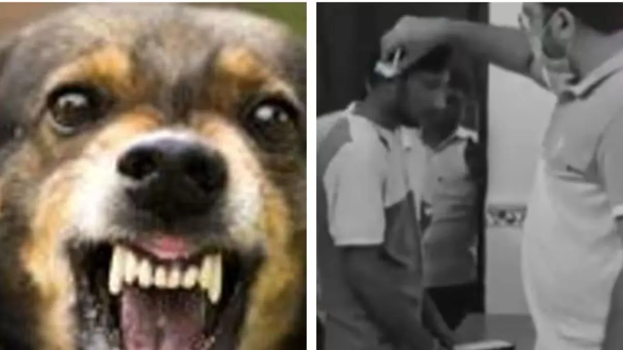 Bihar Dog