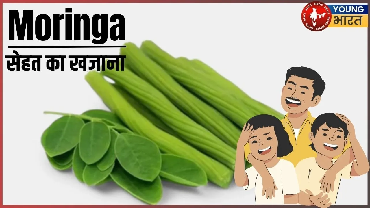 Moringa Health buster