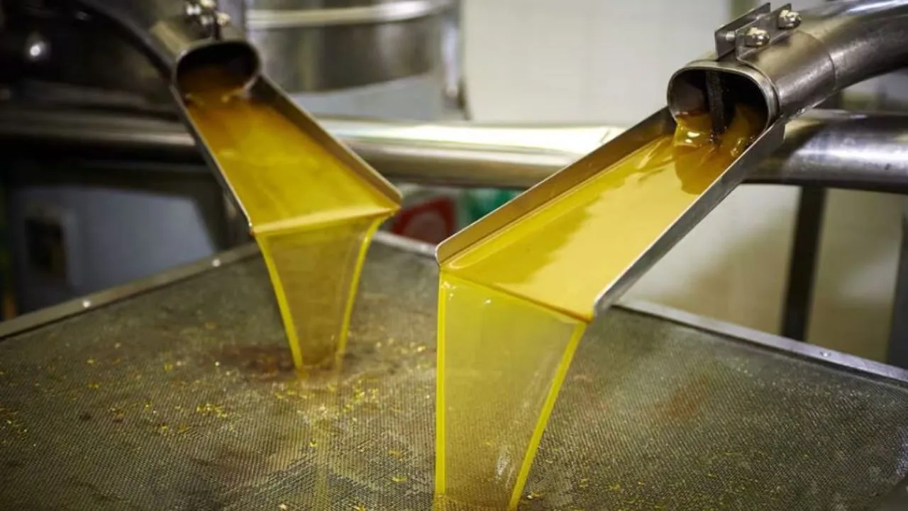 Oil Extraction Unit
