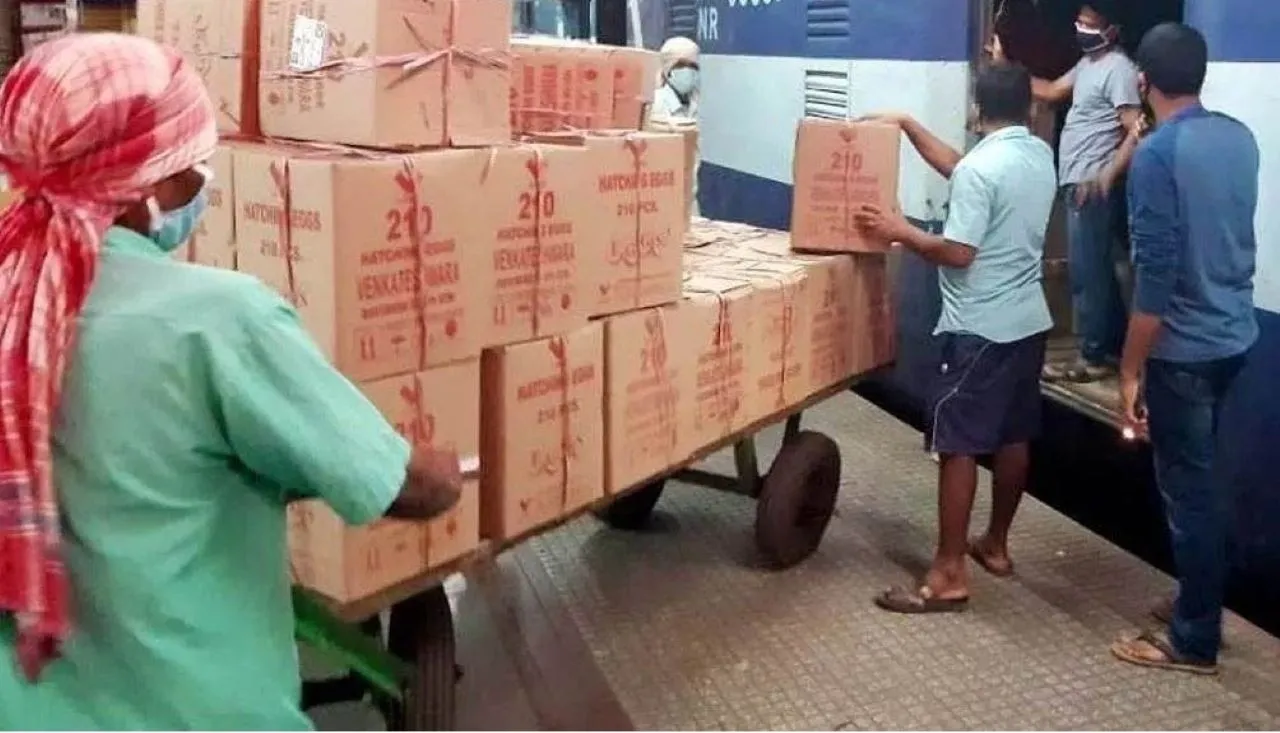 वाईवीएन
