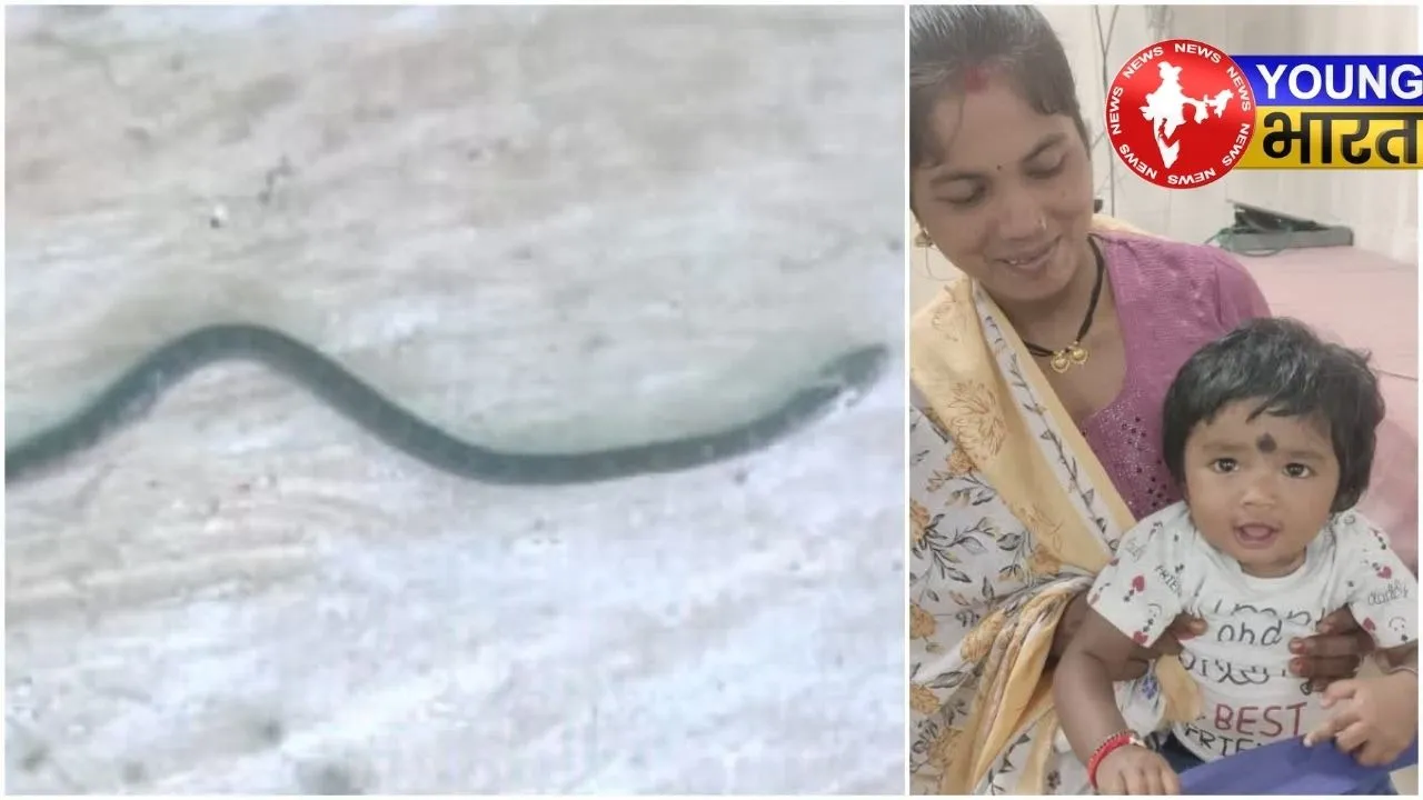 Manavi