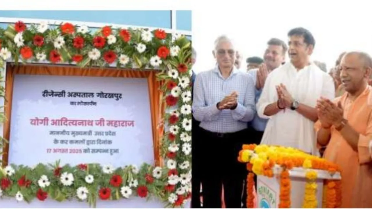 cm yogi