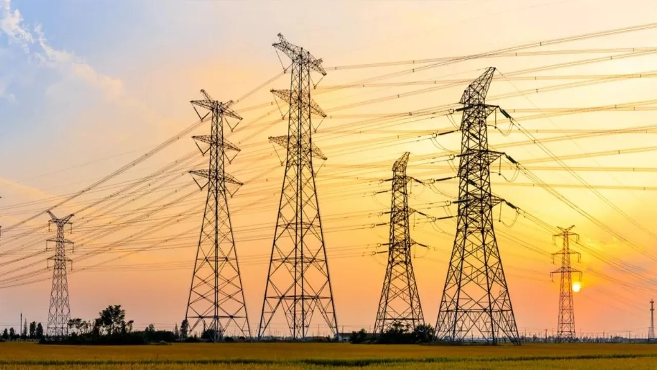 electricity privatisation