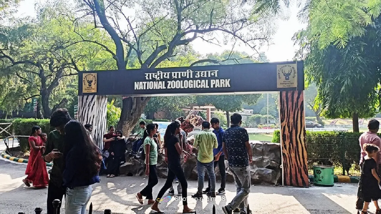 Delhi Zoo