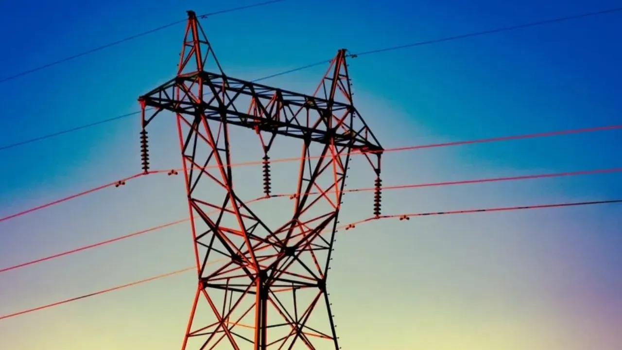 electricity privatisation