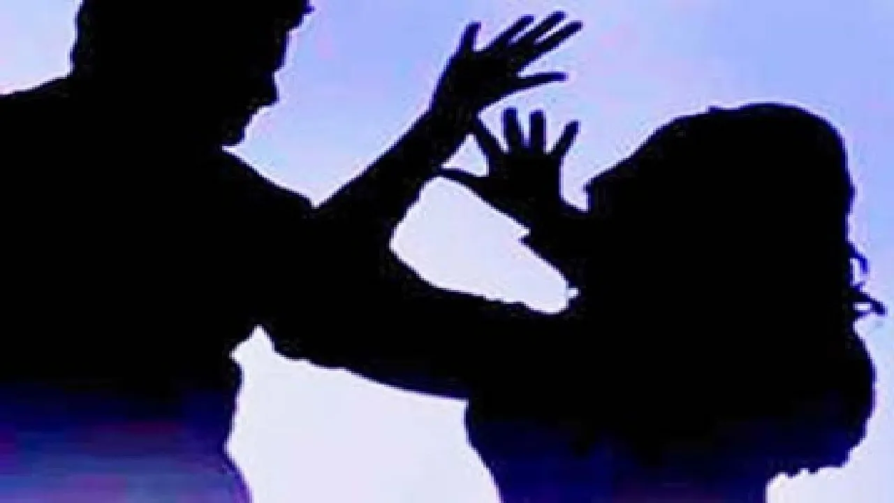 Lucknow Lawyer Assault
