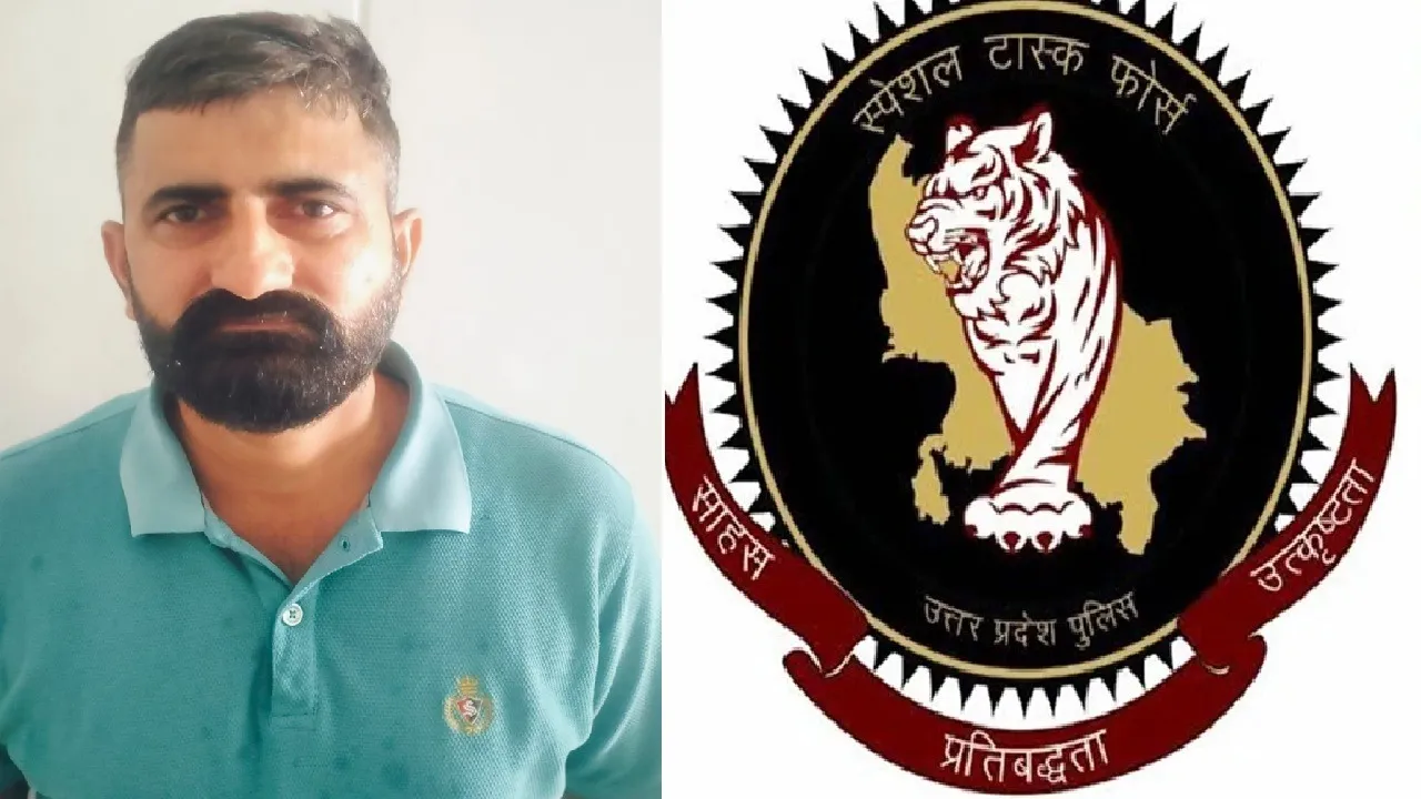 UP STF Arrest