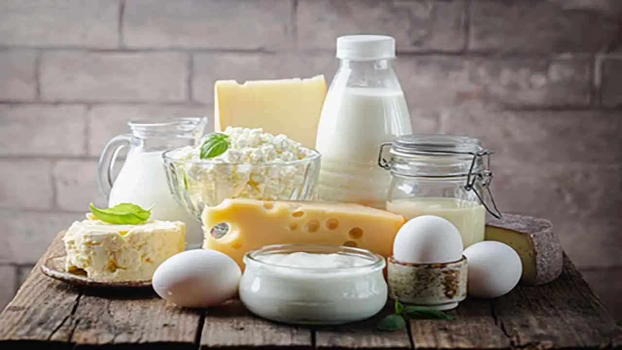 Indiadairy