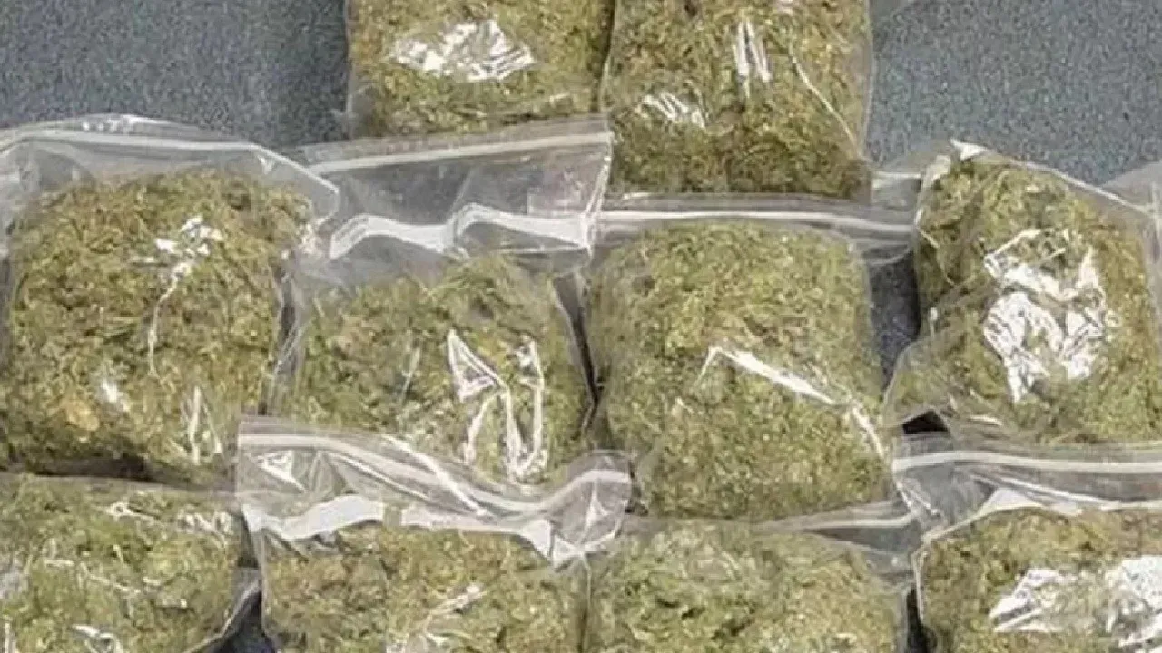 Drug Smuggling