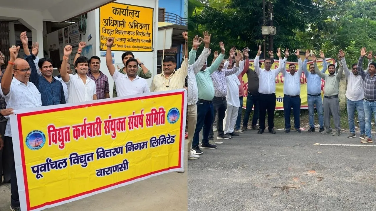 protest against electricity privatisation
