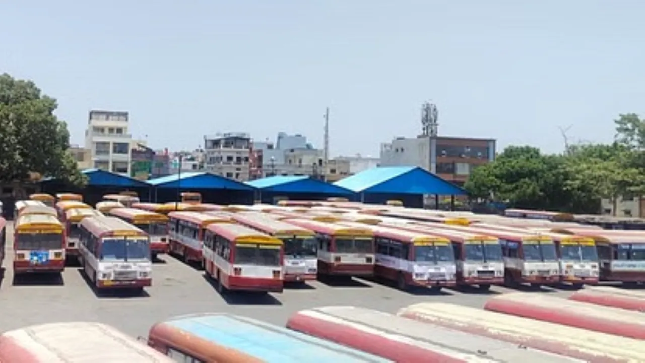 वाईबीएन