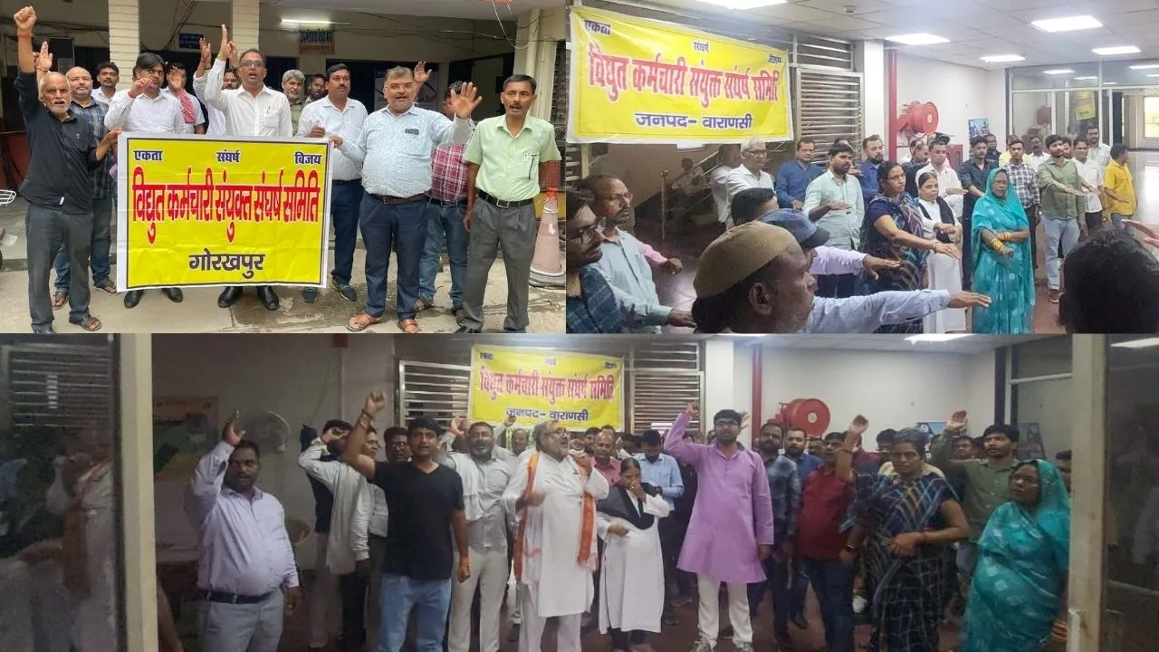 protest against electricity privatisation