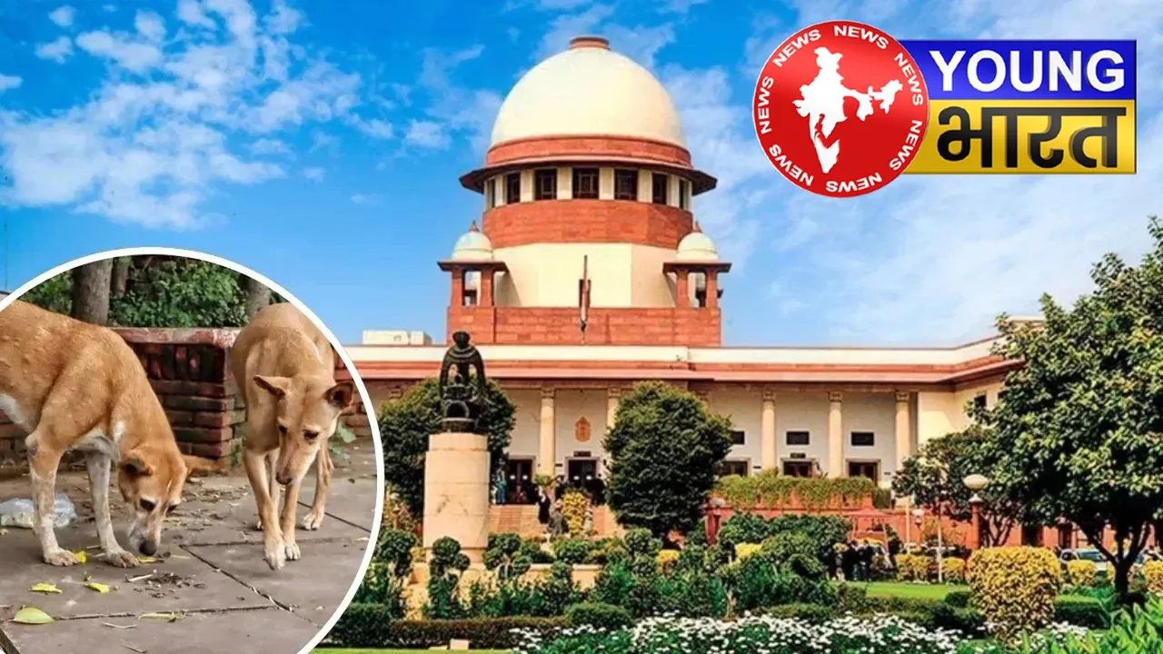 डॉग लवर्स नोट कर लें सुप्रीम कोर्ट की ये 7 बातें, कहीं गायब न हो जाए स्माइल! | यंग भारत न्यूज