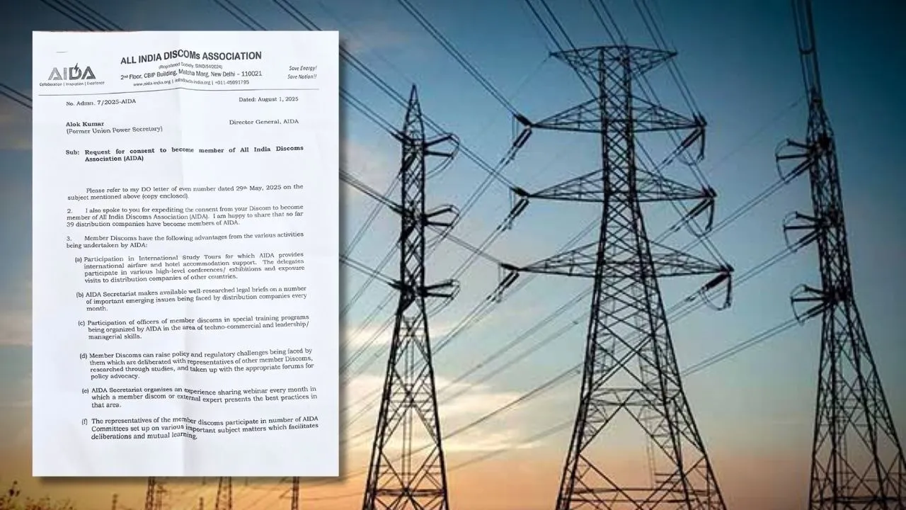 electricity privatisaton aida