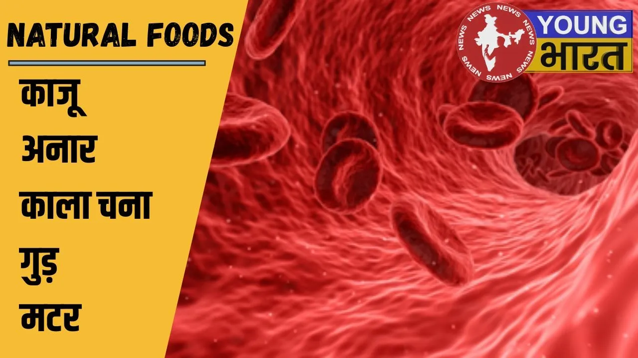 Anemia natural cure