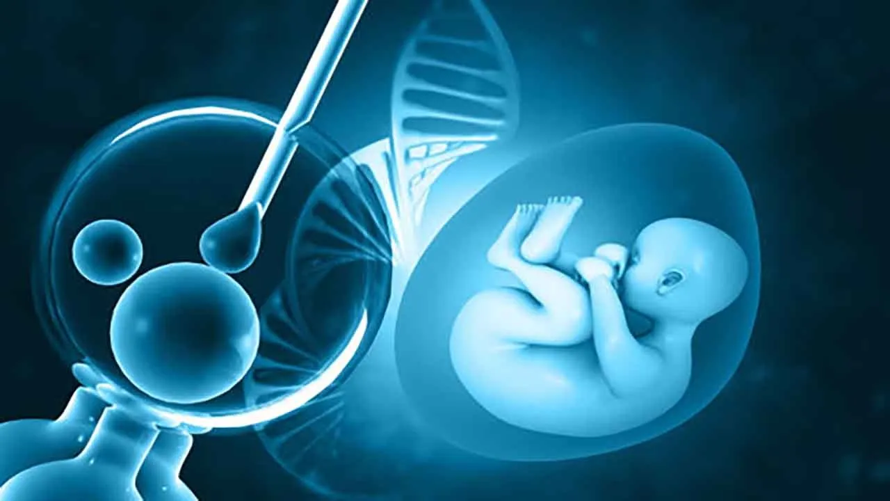 IVF