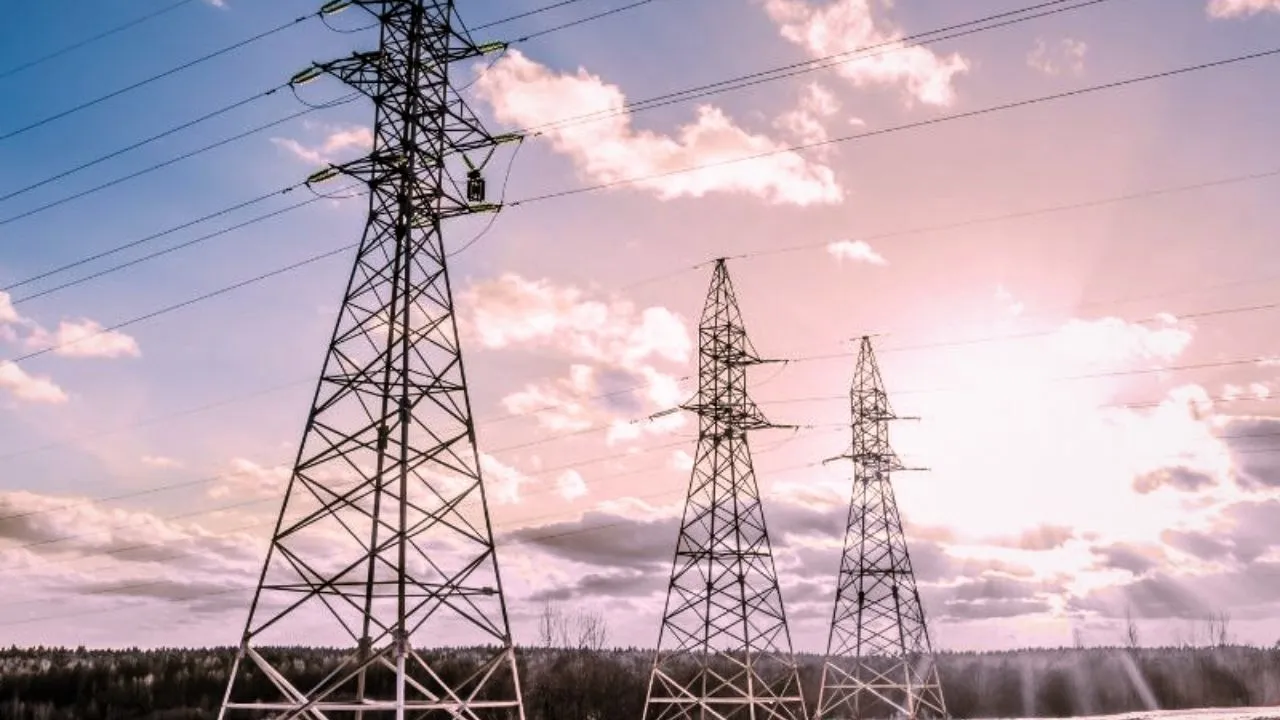 electricity privatisation
